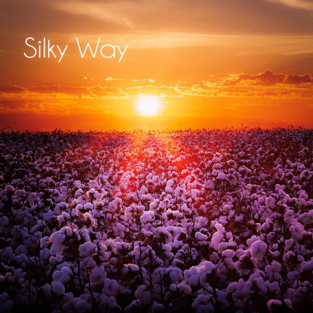 Silky Way