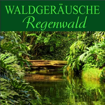 Regenwald by Waldgeräusche