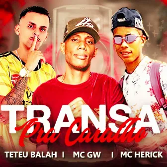 Transa pra Caramba by Teteu Balah