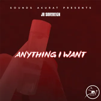 Anything I Want by Jr. Sovereign