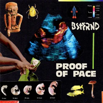 Proof of Pace by BSTFRND