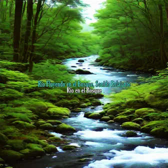 Río Fluyendo en el Bosque, Sonido Relajante by Río en el Bosque