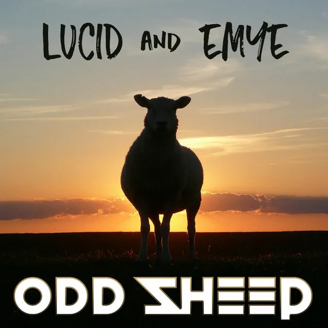 Odd Sheep