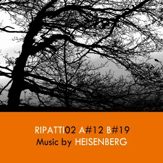 Ripatti02 by Heisenberg