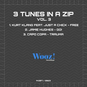 3 Tunes in a ZIP, Vol. 3 by Kurt Klang