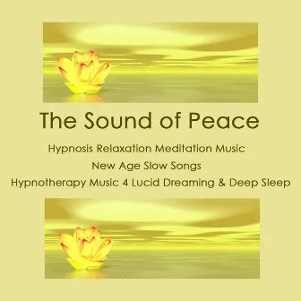 The Sound of Peace: Hypnosis Relaxation Meditation Music, New Age Slow Songs, Hypnotherapy Music 4 Lucid Dreaming & Deep Sleep by Lucid Dreaming World