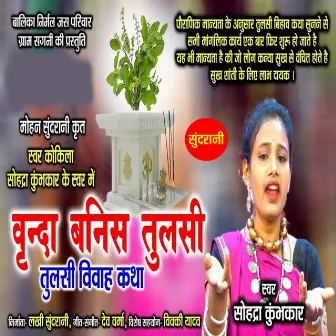 Vrinda Banis Tulsi by 