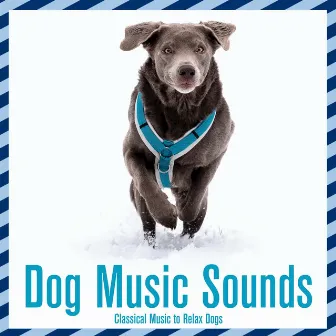 Dog Music Sounds: Classical Music to Relax Dogs by Dog Music Dreams