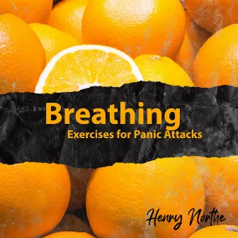 Breathing Exercises for Panic Attacks: Miracle Tones for Homework, Peaceful Times, Mantra Hz Studying, Motivation Music Study by Henry Northe