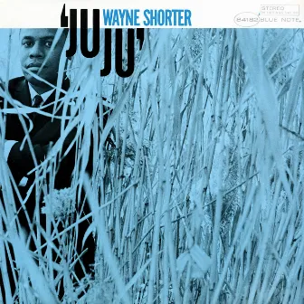 JuJu by Wayne Shorter