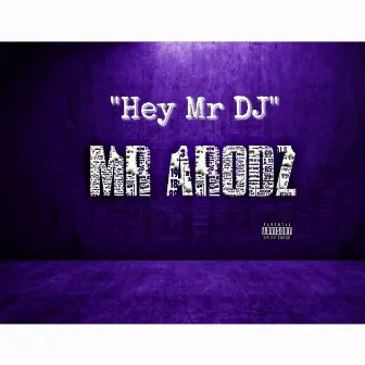 Hey Mr DJ by Mr Arodz