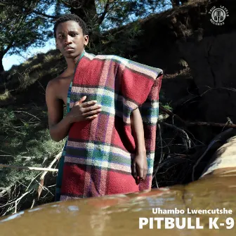 Uhambo Lwencutshe by Pitbull K-9