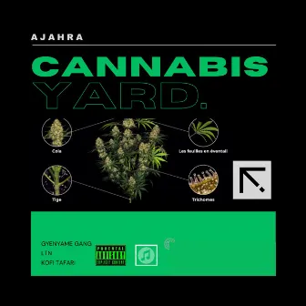 Cannabis Yard by Ajahra