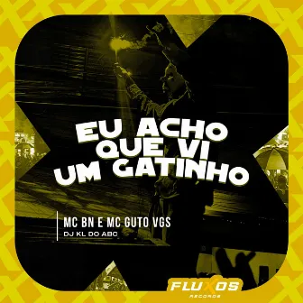 Eu Acho Que Vi um Gatinho by Dj kl do abc