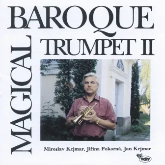 Magical Baroque Trumpet II by Miroslav Kejmar