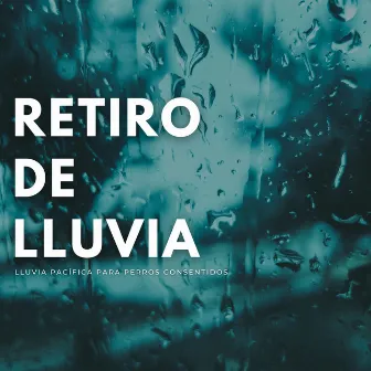 Retiro De Lluvia: Lluvia Pacífica Para Perros Consentidos by Lluvia relajarse