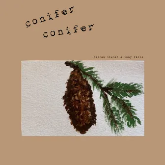 conifer conifer by Unknown Artist