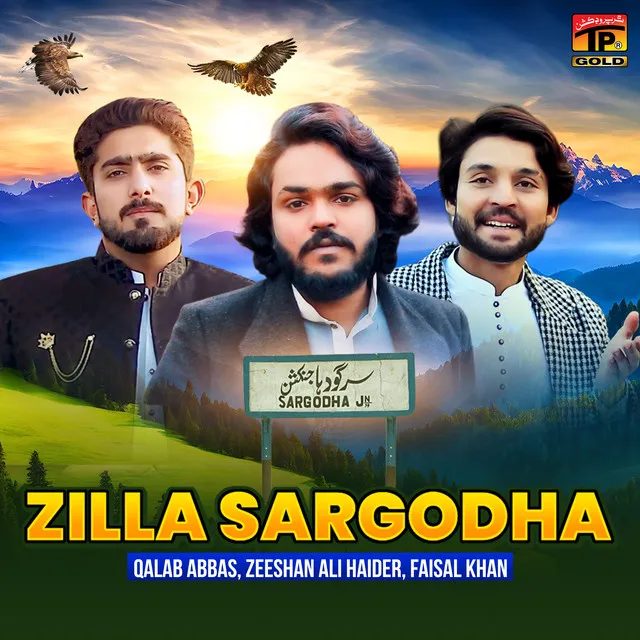 Zilla Sargodha