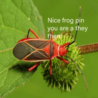 Bug spotted your frog pin and now they’re trying to get you to say you’re they/them by Atlas