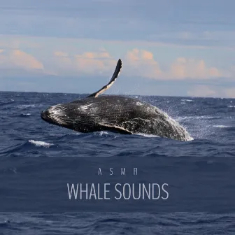 Satisfying Whale Song by ASMR