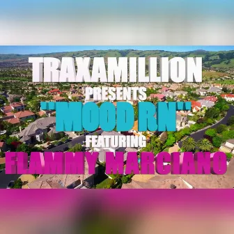 Mood RN (feat. Flammy Marciano) - Single by Traxamillion