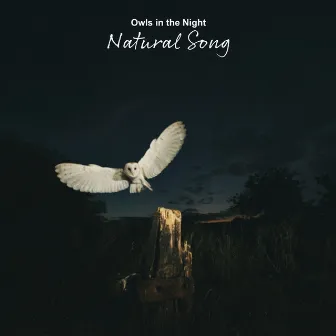 Owls in the Night by Natural Song