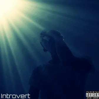 Introvert by Leir