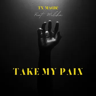 Take My Pain by Tx magic