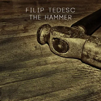 The Hammer by Filip Tedesc