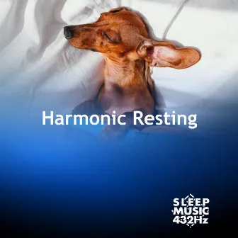 Harmonic Resting by Sleep Music 432Hz