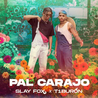 Pal Carajo by T1buron