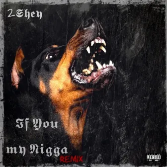 If You My Nigga (Remix) by 2$hey