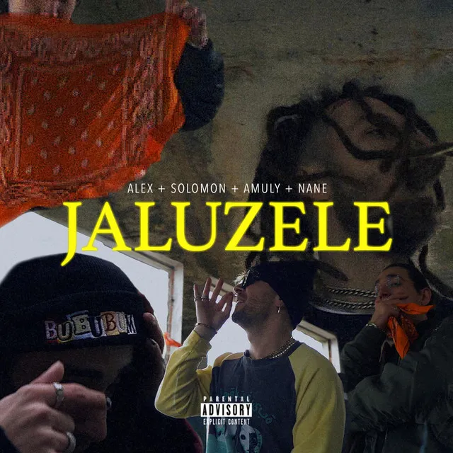 Jaluzele