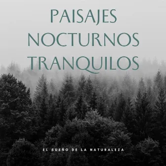 Paisajes Nocturnos Tranquilos: El Sueño De La Naturaleza by Naturaleza Sueño