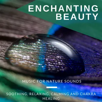 Enchanting Beauty - Music For Nature Sounds, Soothing, Relaxing, Calming And Chakra Healing by Calm Easy Mindful and Mellow Healing Music