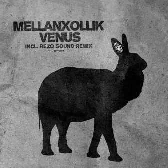 Venus by mellanxollik