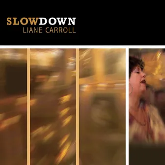 Slow Down by Liane Carroll