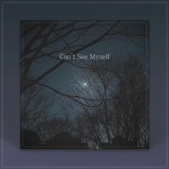 Can't See Myself by BLG