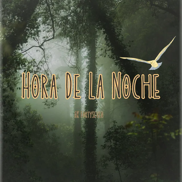 Hora De La Noche