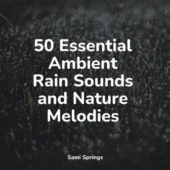 50 Essential Ambient Rain Sounds and Nature Melodies by Pro Sound Effects Library