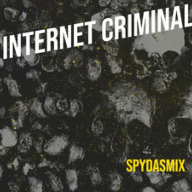 INTERNET CRIMINALS