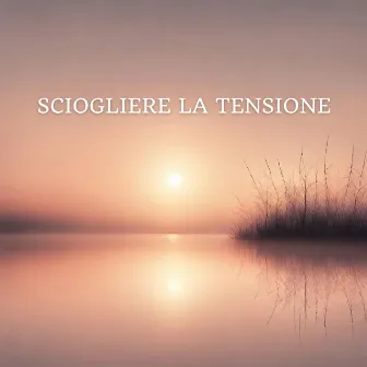 Sciogliere la tensione: Musica dolce per momenti senza stress by 