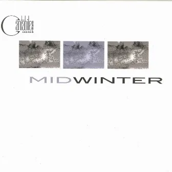 Midwinter by Mark Sirett