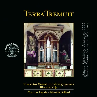 Terra tremuit by Marimo Toyoda