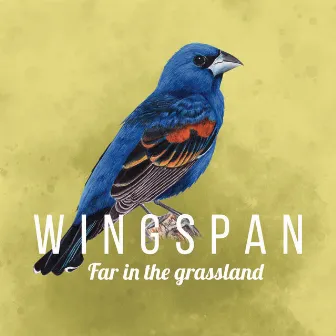 Far in the Grassland (Wingspan Original Video Game Soundtrack) by Paweł Górniak