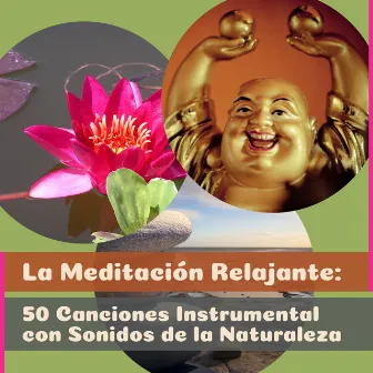 La Meditación Relajante: 50 Canciones Instrumental con Sonidos de la Naturaleza - Música de Armonia, de la Flauta, Guitarra, En Compañía de Piano, Musica Reiki Relajación, Yoga Clase, Zen Espiritualidad Ambiente y Dormir Descansar by Academia de Música para el Alma