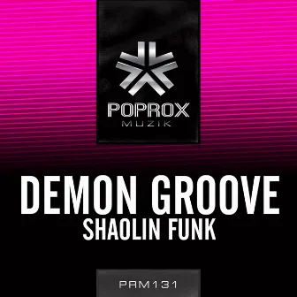 Shaolin Funk by Demon Groove