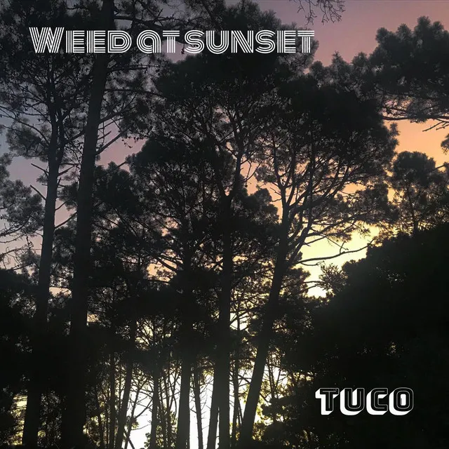 Weed at Sunset