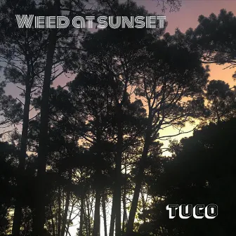 Weed at Sunset by TUCO