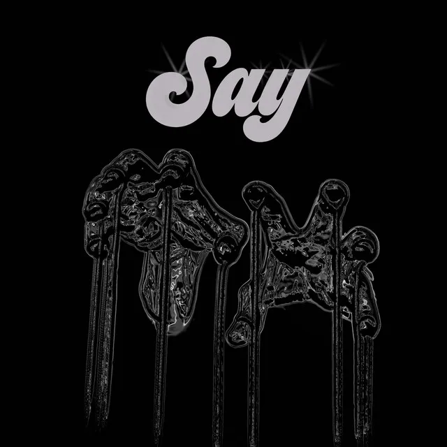 Say (Remix)